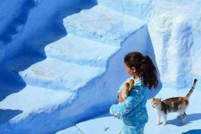 Chefchaouen Day Trip with Local Guide
