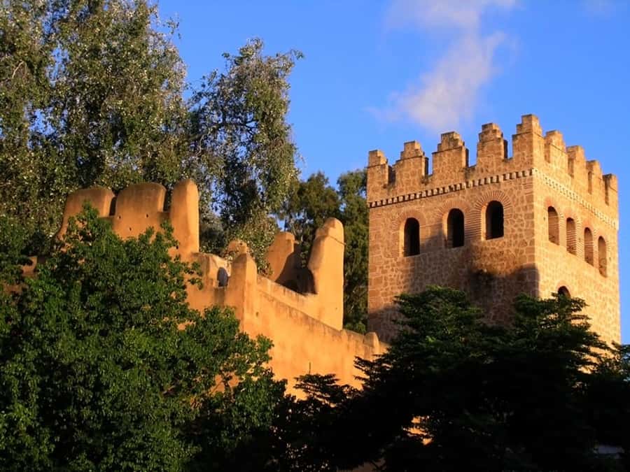 From Tangier: Chefchaouen Guided Full-Day Trip - Guided medina time in Chefchaouen, about two hours