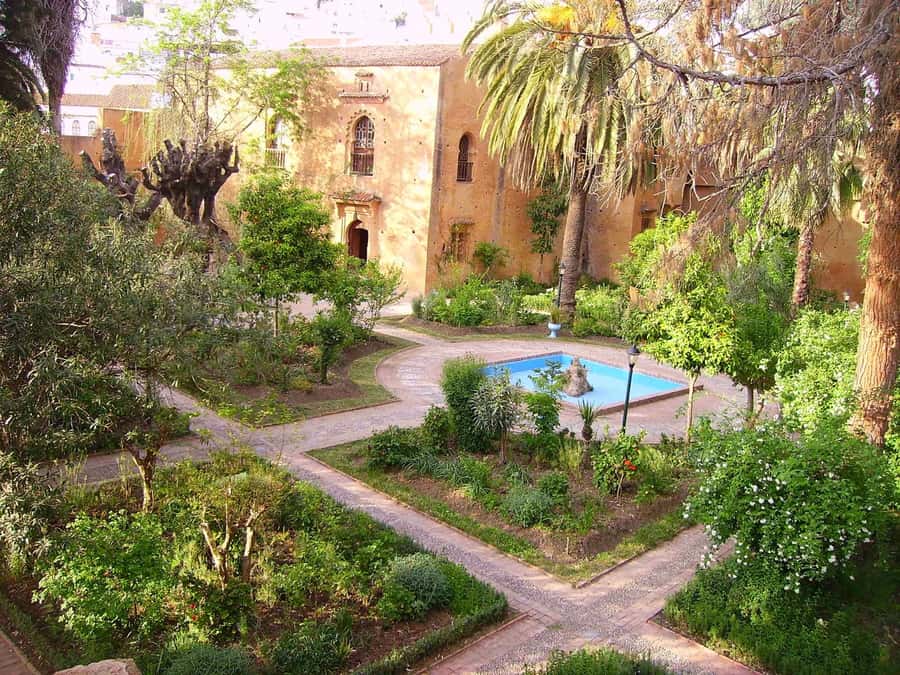 From Tangier: Chefchaouen Guided Full-Day Trip - Plaza Uta el-Hammam, mint tea breaks, and a realistic pace