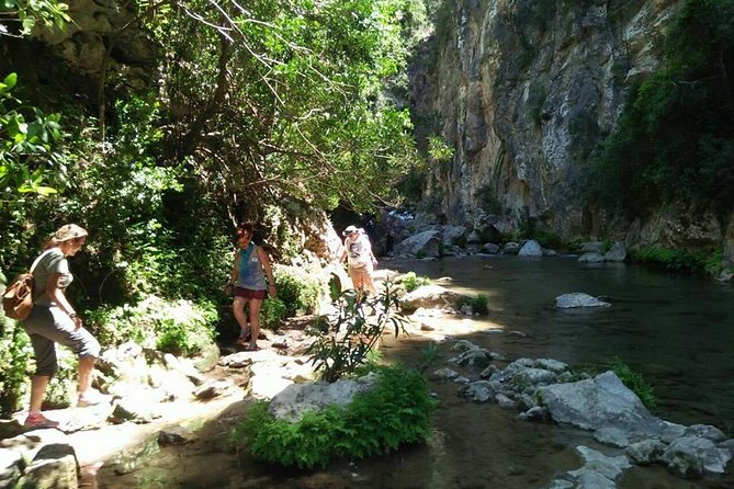 From Tangier: Day Trip to Chefchaouen and Akchour Waterfalls - Who This Trip Fits Best (and Who Might Skip It)
