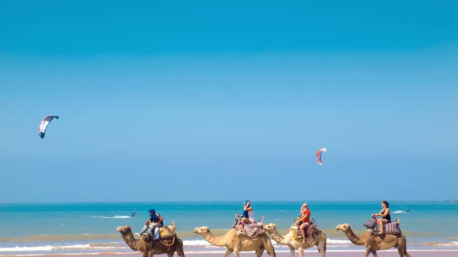 From Tangier: Full-Day Tangier, Asilah, & Cape Spartel Tour - Who This Trip Suits Best