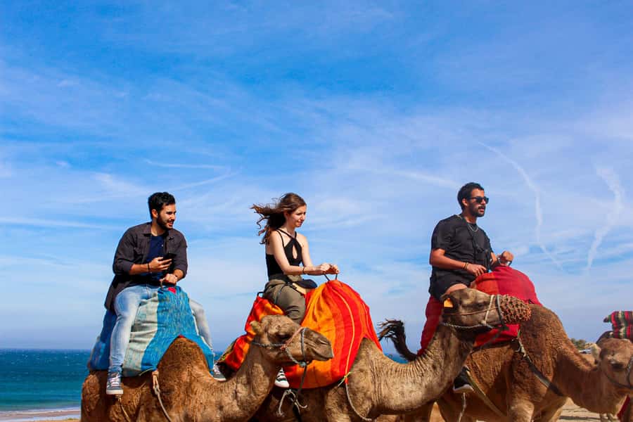From Tangier: Full-Day Tangier, Asilah, & Cape Spartel Tour - Price and Value: Is $65 a Fair Deal?