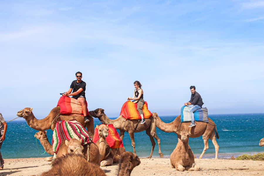 From Tangier: Full-Day Tangier, Asilah, & Cape Spartel Tour - Camel Ride by the Beach: The Fun Part That Feels Real
