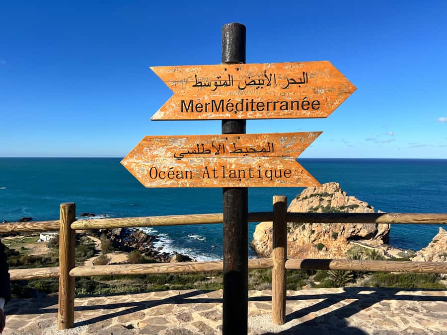 From Tarifa: Tangier Day Trip with Lunch and Ferry - A one-day taste of Tangier from Tarifa