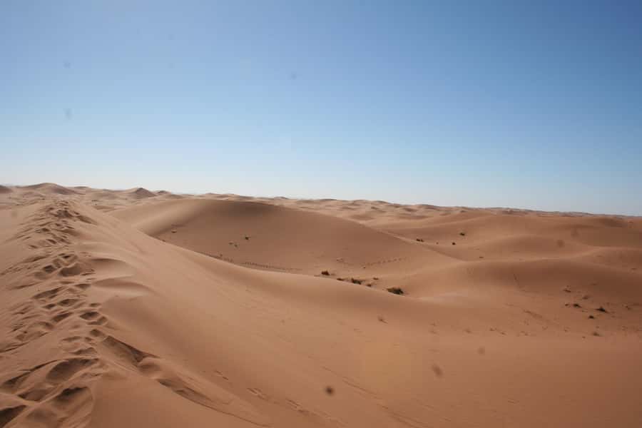 From Zagora: 2-Day Desert Tour to Erg Chegaga - Day Two Sunrise Over the Dunes, Then the Return via Tinfou