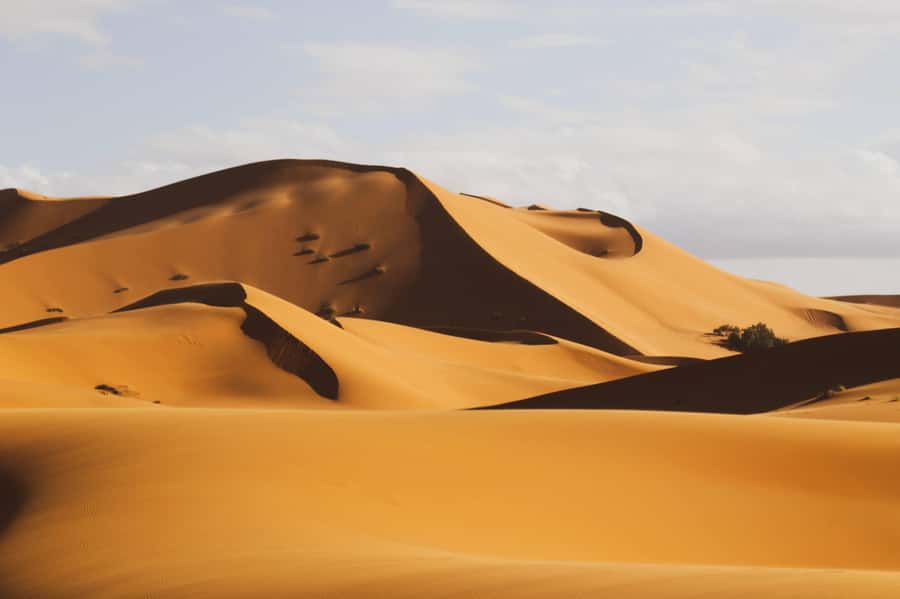 From Zagora: Overnight Desert Tour to Erg Chigaga Camel ride - Zagora to Erg Chigaga: the good kind of Sahara detour