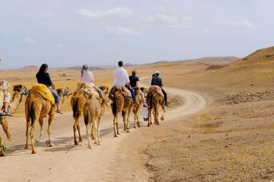Full-Day Agafay Desert & Atlas Mountains Tour With Camels - Key highlights you will care about