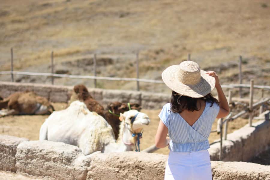 Full-Day Agafay Desert & Atlas Mountains Tour With Camels - Agafay Desert on camelback: what it feels like