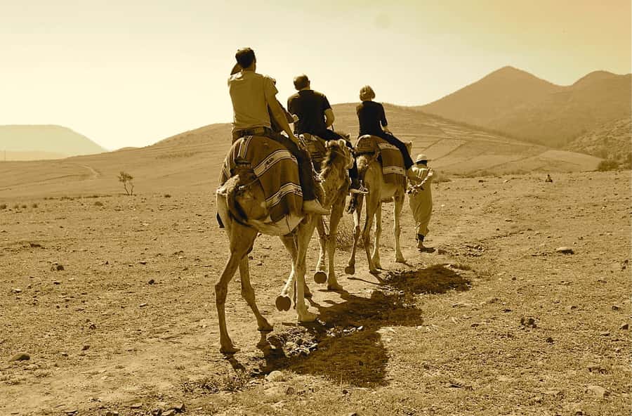 Full-Day Agafay Desert & Atlas Mountains Tour With Camels - The Argan oil cooperative stop: learning, tea, and some sales pressure