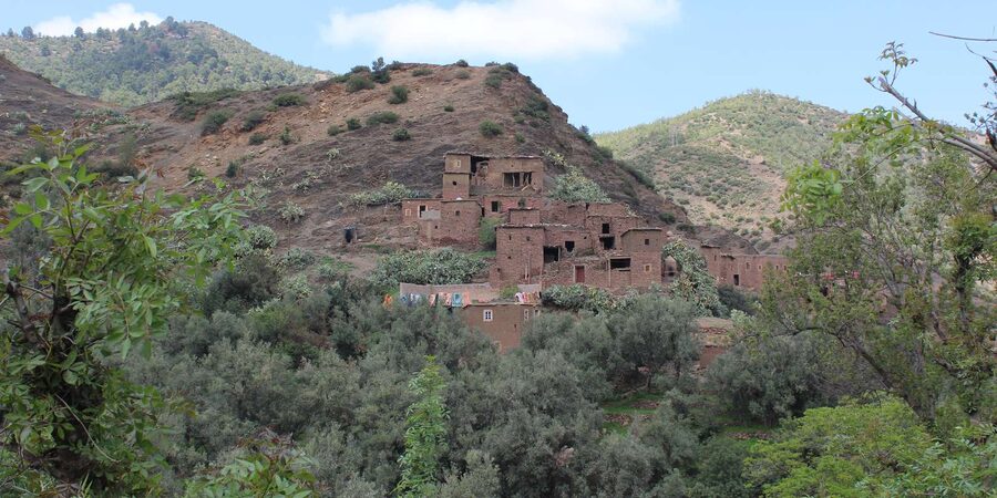 Full-Day Agafay Desert & Atlas Mountains Tour With Camels - High Atlas viewpoints, Mt Toubkal sighting, and village atmosphere