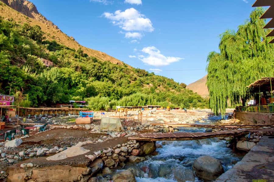 Full-Day Agafay Desert & Atlas Mountains Tour With Camels - Berber family lunch and mint tea: the highlight that lasts