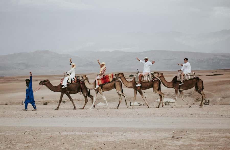 Full-Day Agafay Desert & Atlas Mountains Tour With Camels - Who this tour is best for