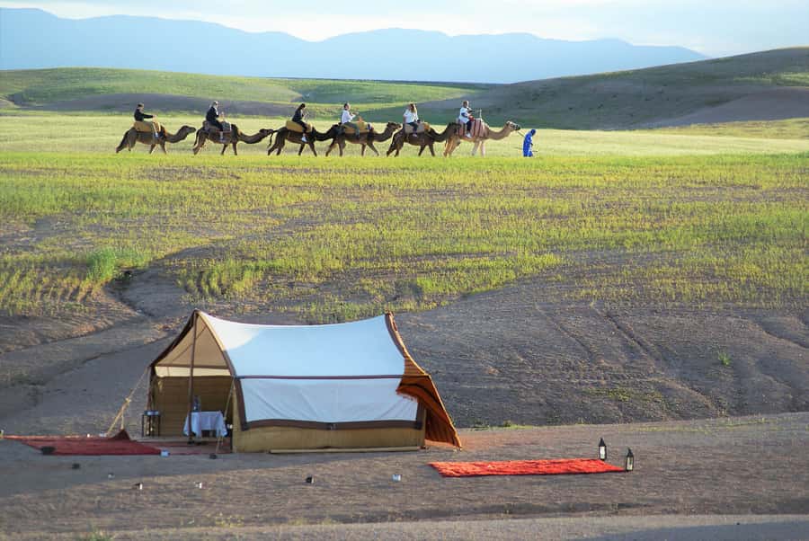 Full-Day Agafay Desert & Atlas Mountains Tour With Camels - Morning start in Marrakech, then straight to the Kik Plateau