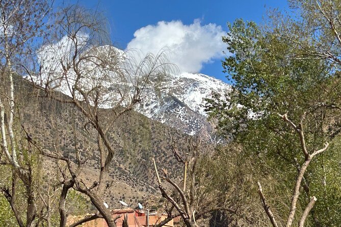 Full Day Atlas Mountains Private Day Tour From Marrakech - Key highlights to know before you go