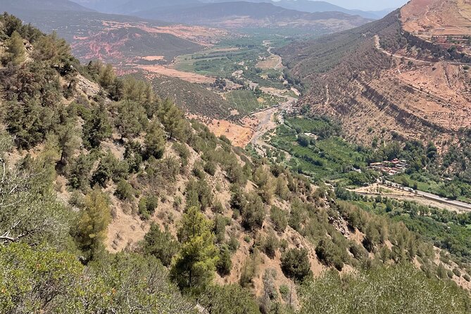 Full Day Atlas Mountains Private Day Tour From Marrakech - Private Transport and Small-Group Energy on Winding Roads