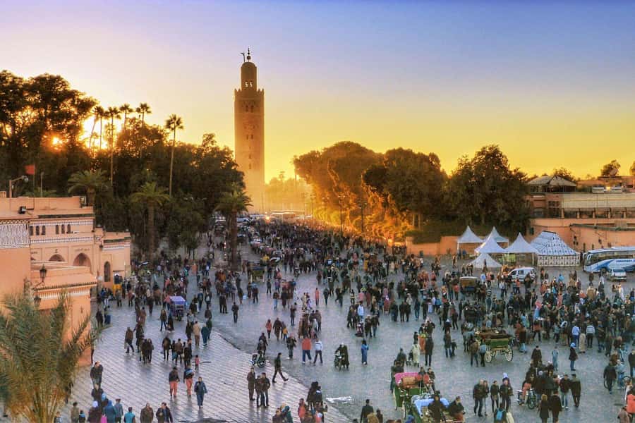 Full-Day Group Trip to Marrakech from Agadir - Key Highlights You Should Know Before You Go