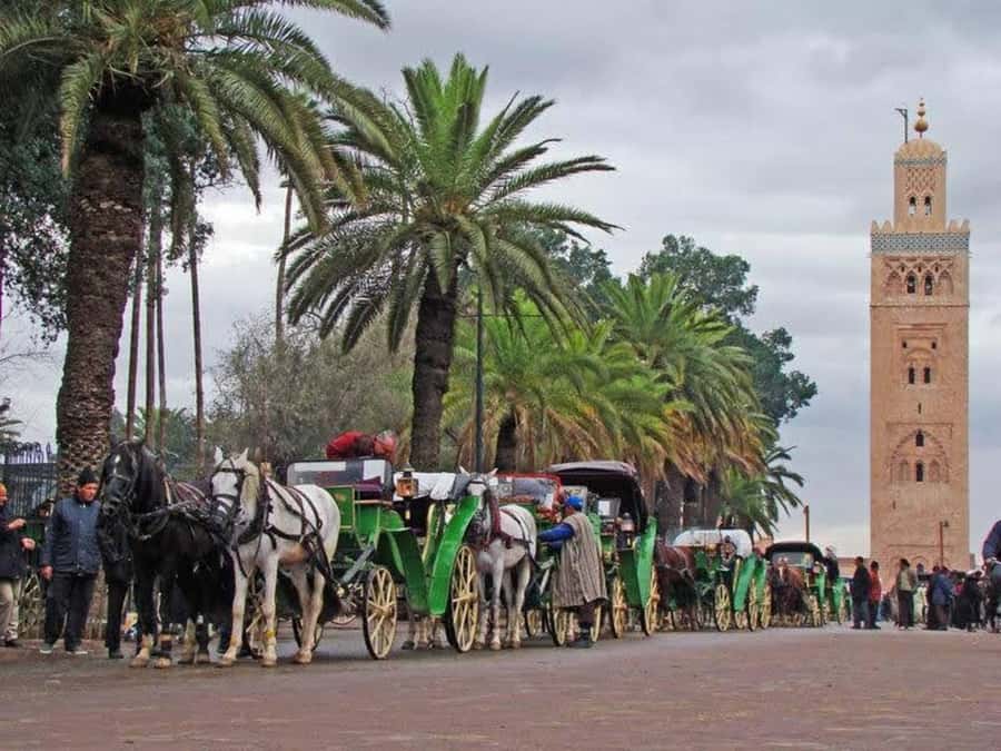 Full-Day Group Trip to Marrakech from Agadir - Jamaa el Fna Free Time, UNESCO Square in Real Afternoon and Night Rhythm