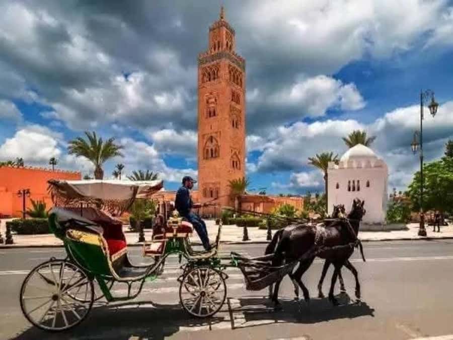 Full-Day Group Trip to Marrakech from Agadir - Lunch, Meals, and How to Handle Food on a Fixed Schedule