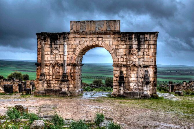 Full-day Historical Meknes Volubilis and Moulay Idriss Tour - Drivers and language: how to get the most from the included commentary