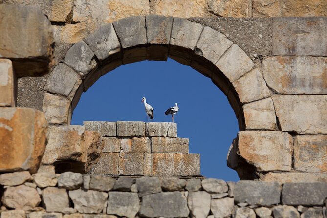 Full-Day Historical Tour to Meknes Volubilis and Moulay Idriss - Meknes: imperial sights, Hispano-Moorish details, and a museum stop