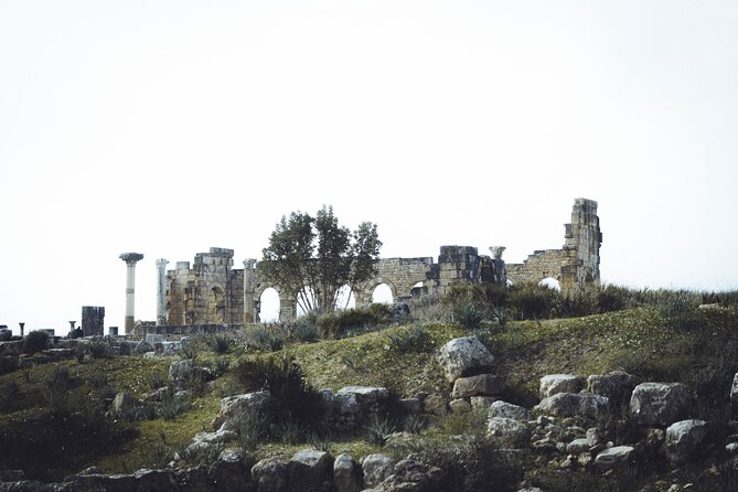 Full-Day Historical Tour to Meknes Volubilis and Moulay Idriss - Price and logistics: why transport-only can be a win