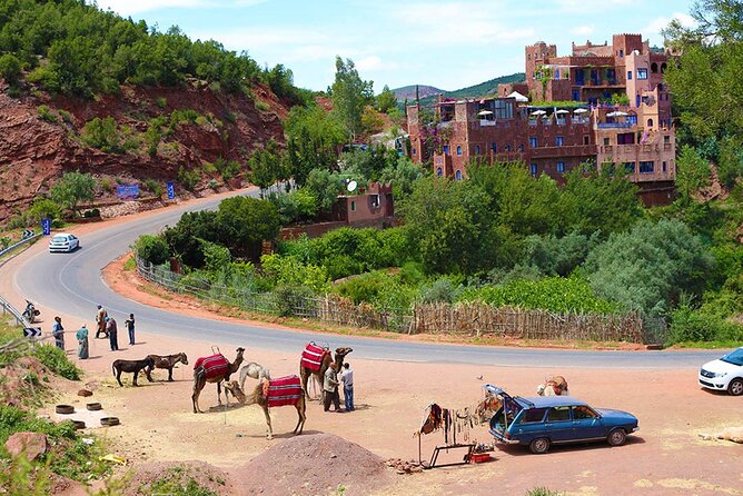 Full Day Private Berbere Experience in High Atlas - Berber House Visit With Welcome Tea: Home Life in Real Time