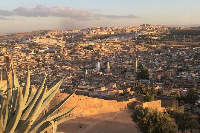 Full -Day Private Guided Walking Tour Of Fez Medina - The UNESCO medina walk: mosques, madrasa, and trade streets