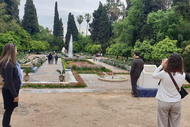 Full-Day Private Tour of Fez - Bou Inania Madrasa and what Fez taught through learning