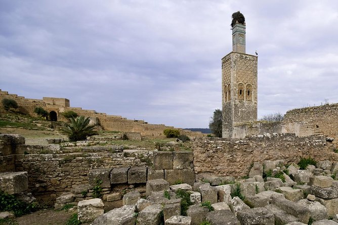 Full-Day Private Tour to Rabat from Casablanca - Hassan Tower and Mohammed V Mausoleum, the real reason to come
