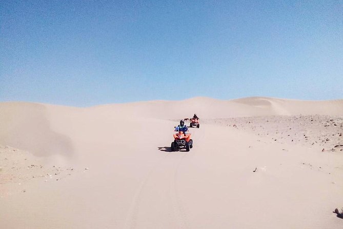 Full-Day Quad bike Adventure from Essaouira to Sidi Kaouki - Quad Attitude’s route to Sidi Kaouki, why the terrain feels different all day