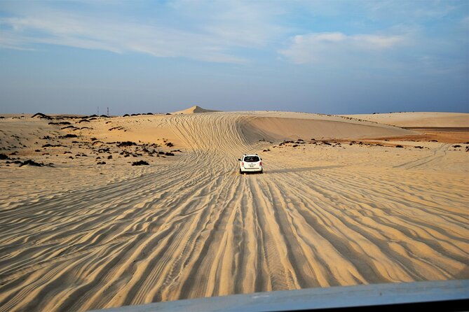 Full-Day Safari Small Desert With Lunch - The Full-Day Route: How You Fit Ocean, City Sights, and Dunes Into 7 to 8 Hours