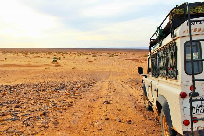 Full-Day Safari Small Desert With Lunch - The Fishermen Village and Fishing Port Stop: A Different Side of the Coast