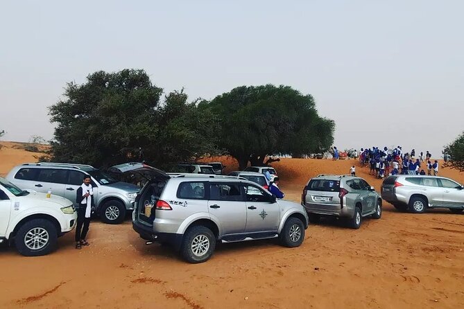 Full Day Tour to Desert Trip in Agadir with Lunch - From Agadir to the Small Desert, How the Day Flows