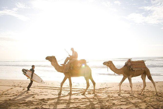 Full-Day Tour to Essaouira - The Ancient Mogador City from Marrakech - FAQ