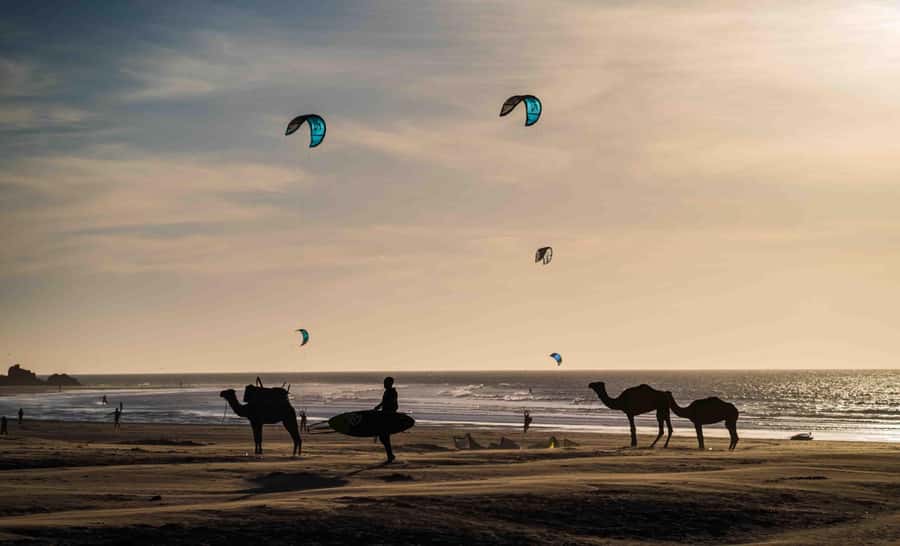 Full Day Trip From Marrakech To Essaouira - How to spend your 4 hours without stressing