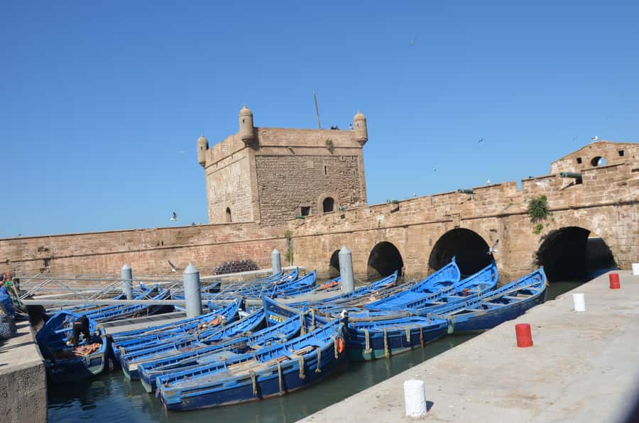 Full Day Trip From Marrakech To Essaouira - Argan oil factory stop: a brief lesson with limited time
