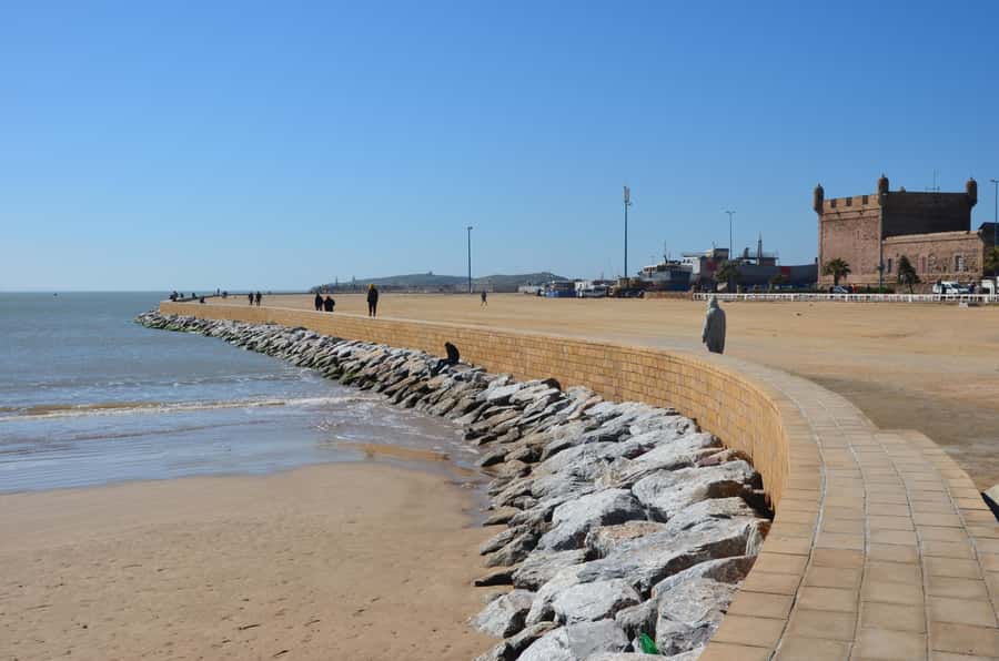 Full Day Trip From Marrakech To Essaouira - Fishing port energy: sardines, seafood smells, and choosing lunch smart