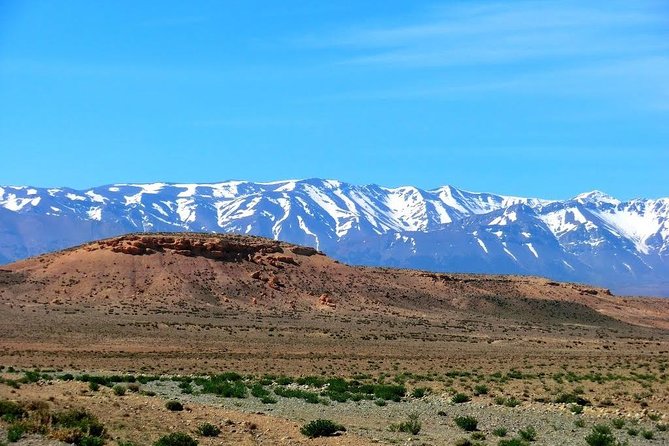 Full Day Trip To Atlas Mountains And 3 Valleys From Marrakech - Ourika Valley Time: Cascades, Wildlife, and a Waterfall Walk
