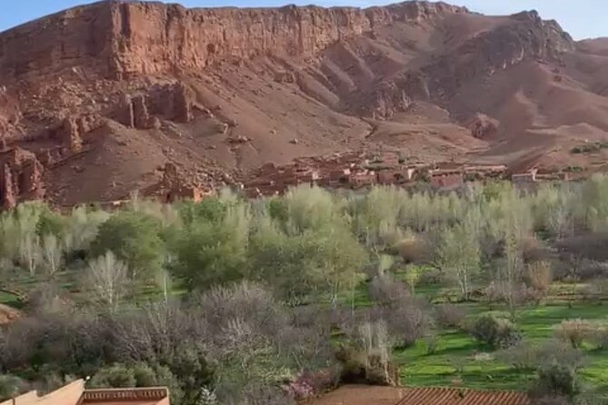 Full Day Trip to Ouarzazate and Ait Benhaddou from Marrakech - The Return Drive Back to Marrakech: Short Breaks, Long Day