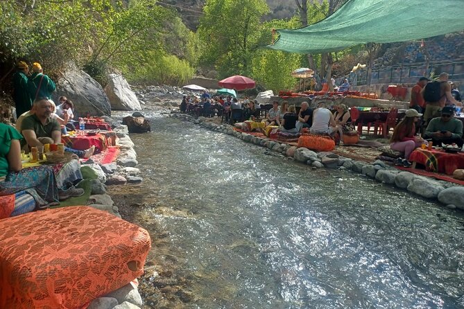 Full Day Trip to Ourika Valleys with waterfalls - Olive Groves to Viewpoints: The Build-Up Before the Waterfall