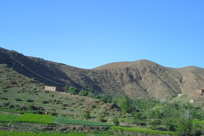 Full Day Trip to Ourika Valleys with waterfalls - Lunch by the Water: Eating After You’ve Earned It