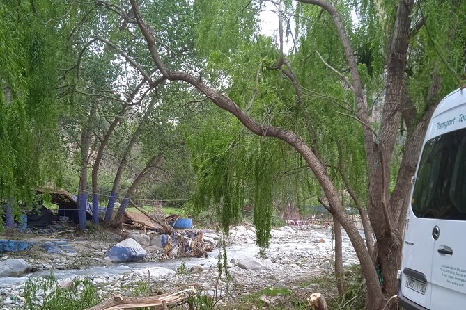 Full Day Trip to Ourika Valleys with waterfalls - Group Size and Pace: Why This Feels Manageable