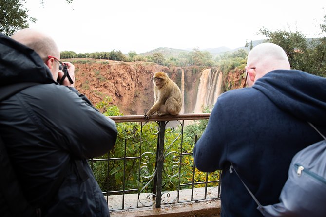Full Day Trip To Ouzoud Waterfalls From Marrakech & Boat Tour - Price and value, why $23.26 can work