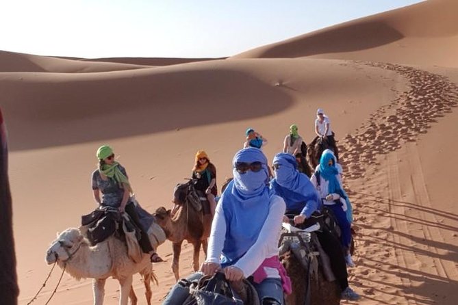 Group - 2 Nights Desert Trip from Fes to Marrakech or back to Fes - Price and value: what the 180.03€ covers, and what comes after
