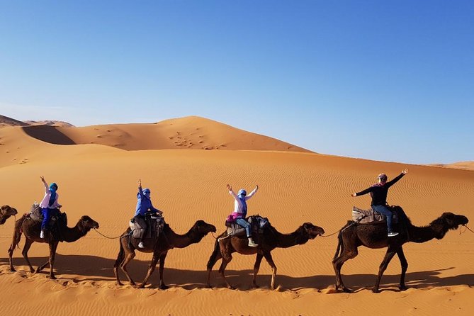 Group - 2 Nights Desert Trip from Fes to Marrakech or back to Fes - Private transport and a small party: why it feels different in practice