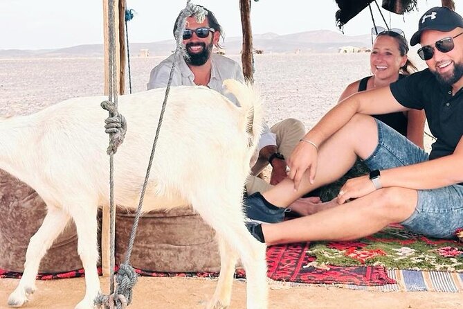 GROUP TOUR - 1 night 2 Day LUXURY Desert TRIP from FES to FES - Who This Desert Trip Suits Best (And Who Might Want Something Different)