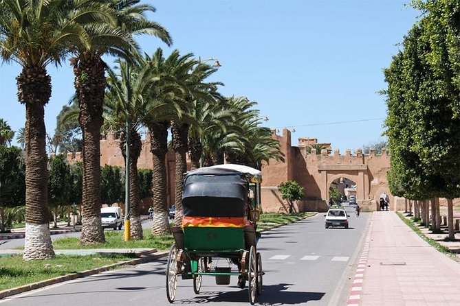 Guided Shared Day Trip Agadir to Marrakech medina & souks - Key Things That Make This Day Trip Work