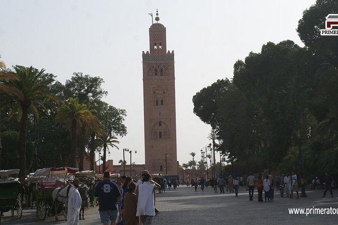 Guided Shared Day Trip Agadir to Marrakech medina & souks - Jemaa el-Fnaa UNESCO square: where the day turns loud and real