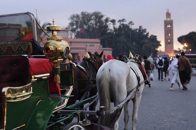 Guided Shared Day Trip Agadir to Marrakech medina & souks - The medina and souks: 3 hours to shop, eat, and actually breathe