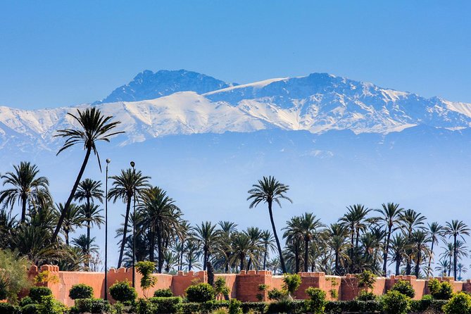 Guided Shared Day Trip Agadir to Marrakech medina & souks - Price and logistics: when $43.61 makes sense, and when it won’t